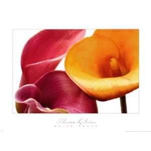    Three Lilies   Poster by Brian Twede (36 x 27)
