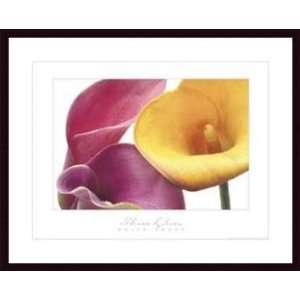   Lilies   Artist Brian Twede  Poster Size 30 X 20