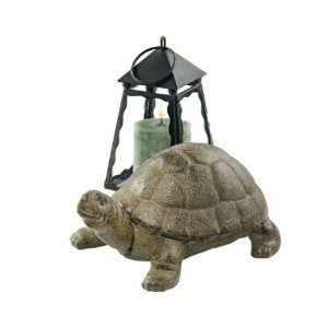  Aesops Turtle Cast Iron Statue
