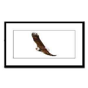  Small Framed Print Bald Eagle Flying 