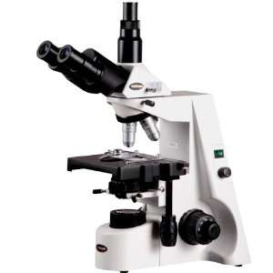 AmScope 40X 2000X Professional Infinity Trinocular Compound Microscope 