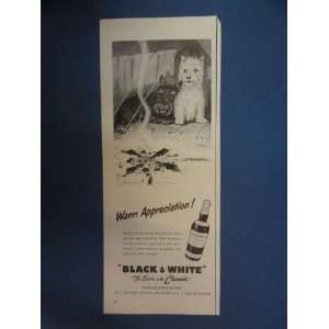   Print Ad. black and white dog by campfire. 1957 Vintage Magazine Ad
