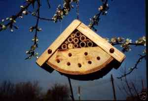 Insect House for Ladybugs, Mason Bees, and More Bug Box  