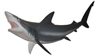 50 Shark, Black Tip Half Mount Fish Replica Taxidermy  