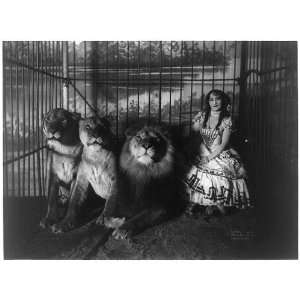  Adjie and the lions 1899,Circus performers