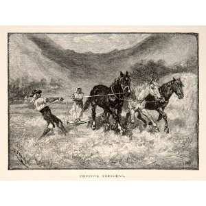  1883 Wood Engraving Spain Thrash Field Horse Plow 