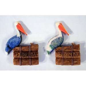   Pelican Bird Florida Assorted Magnet (Set of 12)