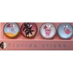 Florida Icons Clicks Magnets by iPop 