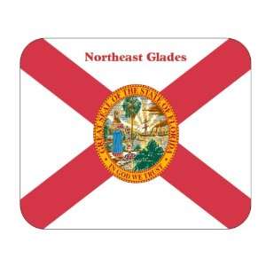  US State Flag   Northeast Glades, Florida (FL) Mouse Pad 