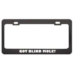 Got Blind Mole? Animals Pets Black Metal License Plate Frame Holder 