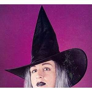    Funworld Taffeta Witch Hat with Hair