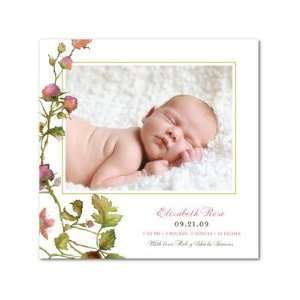    Girl Birth Announcements   Blooming Roses By Lisa Levy Baby