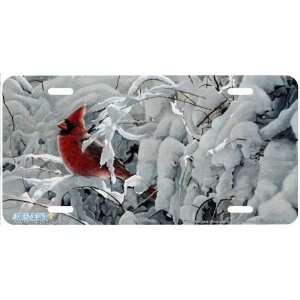 Winter Red Cardinal License Plate Car Auto Novelty Front Tag by Terry 