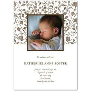   Birth Announcements   Simple Tendrils Chocolate By Blue Ribbon Design