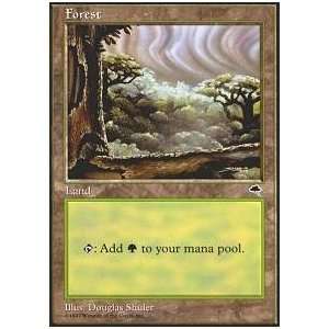  Magic the Gathering   Forest   Tempest Toys & Games