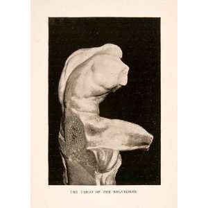 1905 Photolithograph Torso Belvedere Statue Art Marble Apollonius Rome 