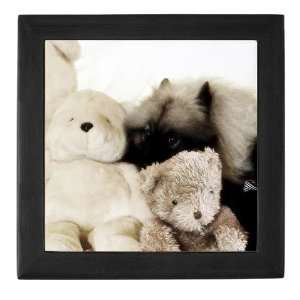 Keeshond and Teddys Pets Keepsake Box by  Baby