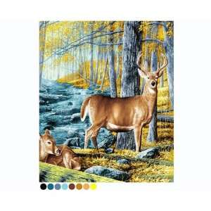  Super Plush Deer Queen Mink Style Blankets 79x95