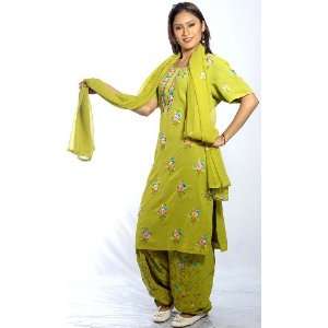  Pear Green Salwar Kameez Suit with Ari Embroidered Flowers 