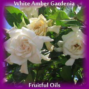 WHITE AMBER GARDENIA PERFUME OIL ~ LUSCIOUS BLEND  