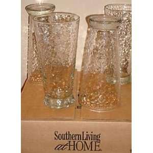  Southern Living At Home Southern Sippers 22oz Tumblers 