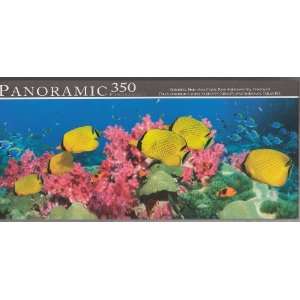   Colorful Fish over Coral Reef, Andaman Sea, Thailand Toys & Games