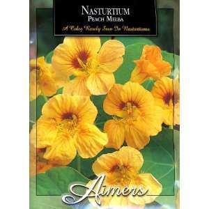   Aimers 3247 Nasturtium Peach Melba Seed Packet Patio, Lawn & Garden