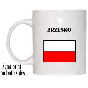  Poland   BRZESKO Mug 
