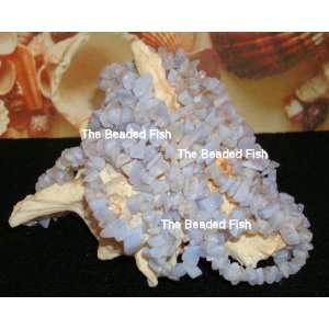  Blue Lace Agate Gemstone Chips   36 Strand Arts, Crafts 