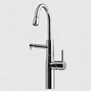   Faucet with Swivel Spout & Pull Down Aerator/Spray   10.501.212 Home