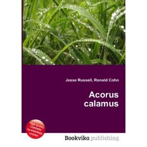  Acorus calamus Ronald Cohn Jesse Russell Books