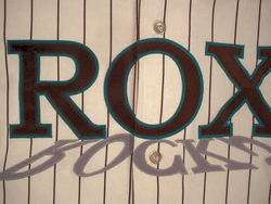 BROCKTON ROX ~ Minor League Baseball Jersey ~ Youth XL  
