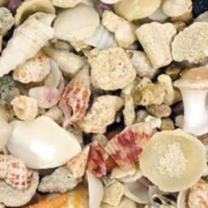 CaribSea Seaflor Aruba Puka Shell Substrate