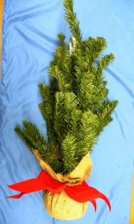 24 Green Pine Xmas Tree Burlap Sack w/ Ribbon #50130  