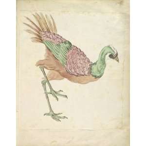   Jean Baptiste Oudry   32 x 42 inches   Striding Bird