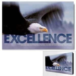  Successories Excellence Eagle Infinity Edge Wall Decor 