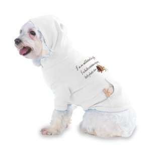   stirs Hooded (Hoody) T Shirt with pocket for your Dog or Cat MEDIUM