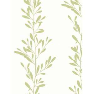  Wallpaper Steves Color Collection   New Arrivals BC1582658 