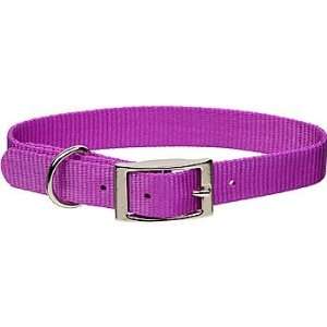 Coastal Pet Metal Buckle Nylon Personalized Dog Collar in Orchid, 3/8 