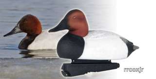   CANVASBACK DRAKE DUCK DECOYS FIXED KEELS 6 NEW 700905730490  