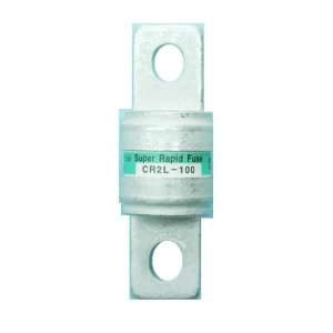 Fuji Electric CR2L 100 Fuse