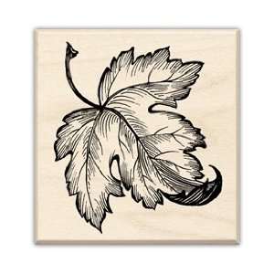   Stamp MAPLE LEAF For Scrapbooking, Card Making & Craft Projects