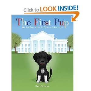   the White House   [1ST PUP] [Hardcover] Bob(Author) Staake Books