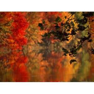  Brilliant Fall Colors Reflect on Water Premium 
