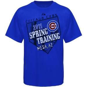  Majestic Chicago Cubs Youth Royal Blue 2011 Spring 