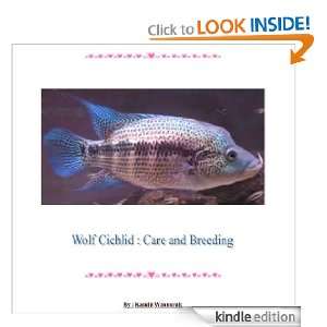 Wolf Cichlid  Care and Breeding Kasidit Wannurak  Kindle 