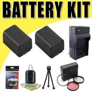  NPFV100 Lithium Ion Replacement Batteries w/Charger for Sony HDRTD10 