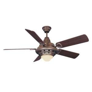   House Torque Ceiling Fan in Chilmark with Chestnut