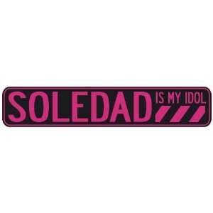   SOLEDAD IS MY IDOL  STREET SIGN