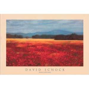  David Schock   French Poppy Fields